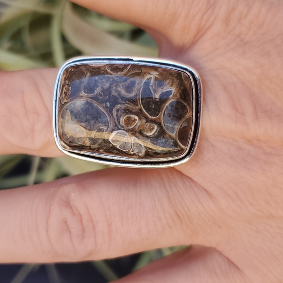 New Turritella Agate Fossil 925 Silver Ring. - Picture 7 of 15